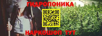 a pvp Жуковский