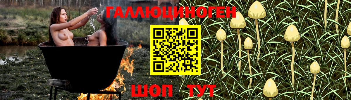 Галлюциногенные грибы MAGIC MUSHROOMS Междуреченск