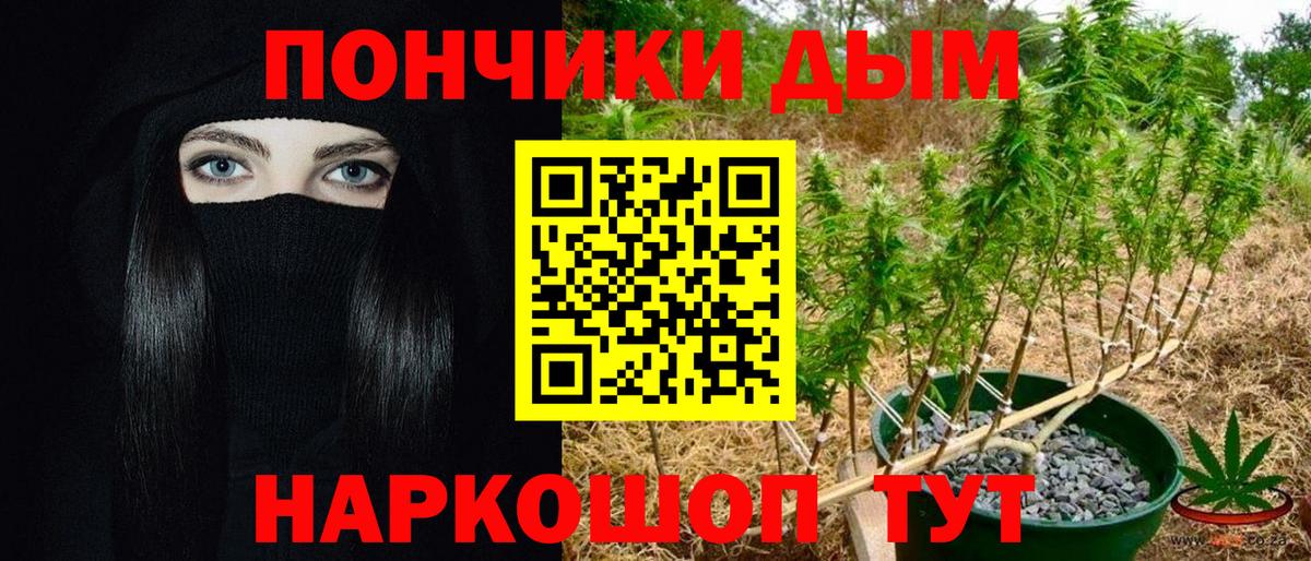 Конопля MAZAR  Вход с VPN  Марихуана планчик  Междуреченск  Бошки Шишки план  Канабис конопля 